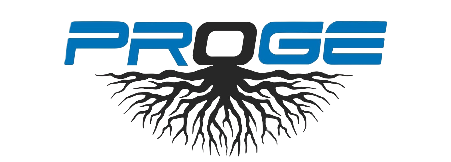 PROGE_A